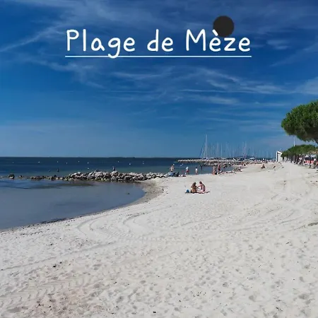 Intemporelle 몬타냑