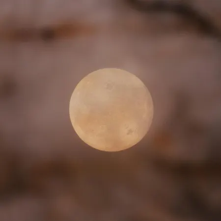 Intemporelle * Montagnac